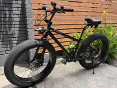Triumph 電動アシスト自転車 ファットバイク - メルカリ