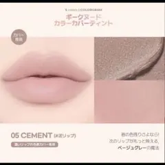 新品未使用　カラーグラム　ギークヌードカラーカバーティント05セメント