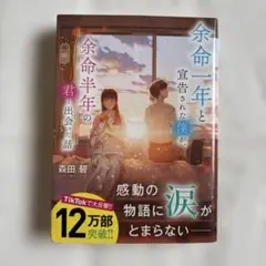 余命一年と宣告された僕が余命半年の君と出会う話