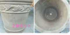 テラコッタ 植木鉢のサムネイル