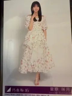 菅原咲月 乃木坂46 My respect 封入 生写真 アルバム ヒキ