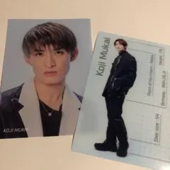 向井康二 アクリルポスター