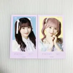 齋藤樹愛羅 ミニフォト イコノイジョイ 2023 コンプ イコラブ