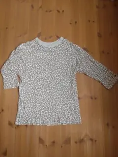 Item thumbnail for item 1a6d0b3c-fd04-47d7-8e9e-d597b358a8fd