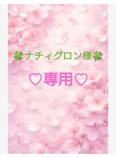 ナチィグロン様　専用ページ♡