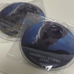 鬼滅の刃 usj コレクタブル缶バッジ 嘴平伊之助 2個セット ユニバ