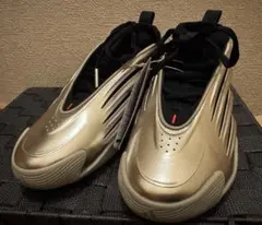 ジェームス・ハーデン シグネチャーモデル「ハーデン ボリューム 9」25センチ