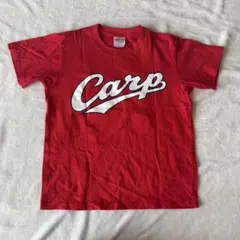 Item thumbnail for item e1d58f55-1a89-42a7-979e-d352db7e916f