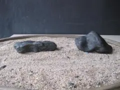 鑑賞石 水石 神居古潭 古手 初石 幅約14cm 重さ1,23kg - メルカリ
