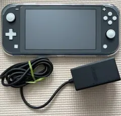 新品 Nintendo Switch Lite ブルー 外箱破損有 - メルカリ