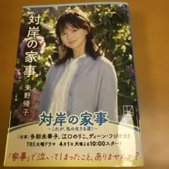 対岸の家事