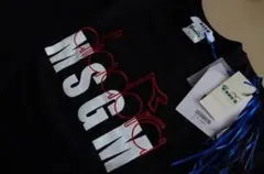 Item thumbnail for item 97210a8b-1dea-4dee-8439-e1f941f080ab