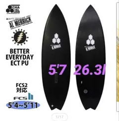 チャンネルアイランドBETTER EVERYDAY ベターエブリデイ ECTのサムネイル