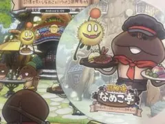 なめこ栽培キット 15周年記念 ポップアップ　購入特典　コースター&ポストカード