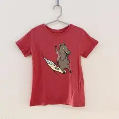 Patagonia Pataloha Tシャツ キッズ 4Tのサムネイル