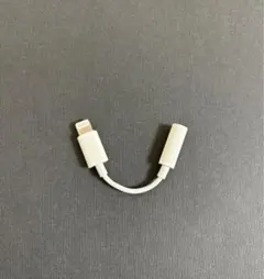 イヤホン Lightningケーブル