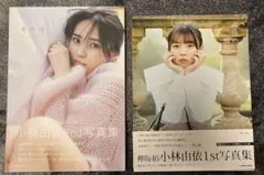 Item thumbnail for item 9e7a2861-a7b0-4a16-b0de-5f4a3f73b3e2