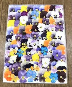 momo様の2点おまとめページです。