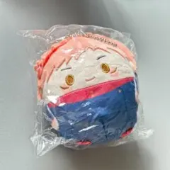 虎杖 ふわコロりん ぬいくじ D賞 くじメイト 呪術廻戦 マスコット 虎杖悠仁