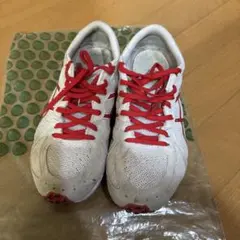 アシックス　ソーティマジック25センチ