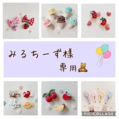 みるちーず様 専用