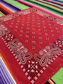 【しょうご 様専用】①⓪⑥60s USA製バンダナ PARIS