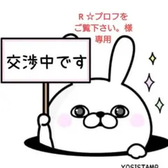R ☆プロフをご覧下さい。様 リクエスト 2点 まとめ商品