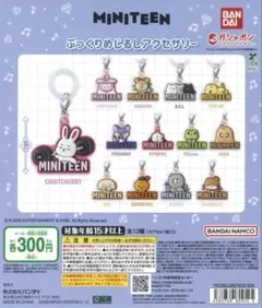 MINITEEN ぷっくりめじるしアクセサリー13種コンプリート