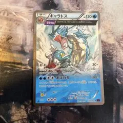 ギャラドス R XY7 バンデットリング