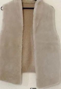 2026年最新】sov ムートン ベストの人気アイテム - メルカリ