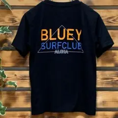 ナノユニバース ブラック Tシャツ バックプリント サイズF レディース