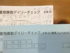 2026年最新】デイリーチェック サピックスの人気アイテム - メルカリ