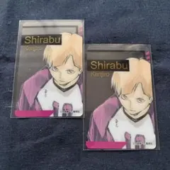 【匿名配送】ハイキュー ファンパーク 箔押しクリアカード 白布賢二郎