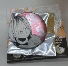 ハイキュー ファンパーク デコレクション缶バッジ 孤爪研磨