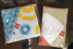 Item thumbnail for item 5d67fdf3-c6ee-4c21-8998-9f10cb4af760