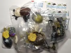 原色爬虫類　カメ目図鑑　フィギュア　YUJIN