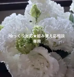 2026年最新】トルコキキョウ苗の人気アイテム - メルカリ