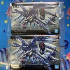 メガニウム様専用　ライジンフリーダムガンダム✖️2枚　ガンプラパッケージ アート