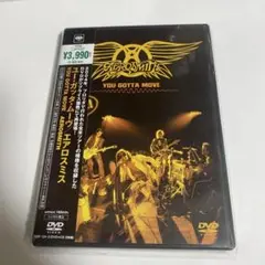 エアロスミス/YOU GOTTA MOVE