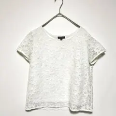 INDIVI ホワイト 総レース Tシャツ 半袖　M オフィスカジュアル