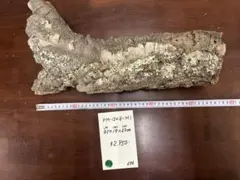 Item thumbnail for item aaaba279-cd57-4079-824f-24a5631dde9f