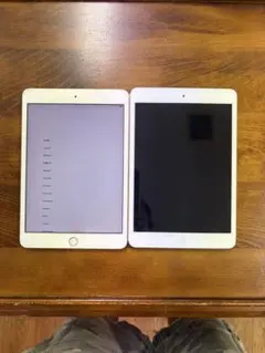 iPad mini 3＋iPad mini 2（初期化済・部品取り/おもちゃ用）