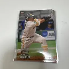 Item thumbnail for item 7d6e2dc5-d455-4be3-8ee7-7d69cd892f32