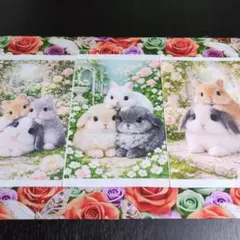 可愛いうさぎパネル生地 - メルカリ