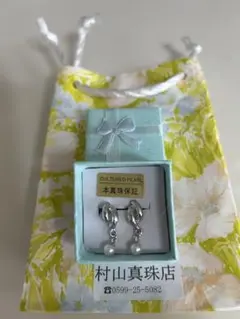 Item thumbnail for item 09f0cb7f-e5bb-4ae4-a613-2b9700d37da3