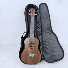 Item thumbnail for item 9d09fa8b-bc94-4c15-ad81-e15a14cdc140