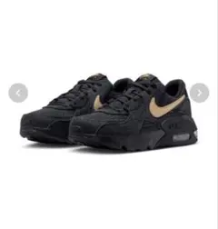 ナイキ レディーススニーカー w nike air max excee
