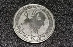 ポケモンカード　プレイヤーズコイン　アブソル