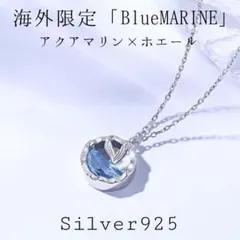 431ハワイアンネックレス/アクアマリン/幸運の象徴/シルバーホエール