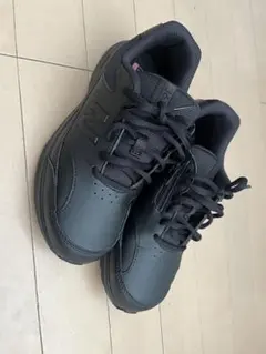 Item thumbnail for item d9de6ce8-0ad0-40de-8a0e-9ea6d9fdbdca